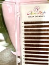 BLISTER CAFÉ GLAMLASH
