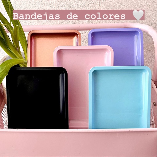 CHAROLA COLORES